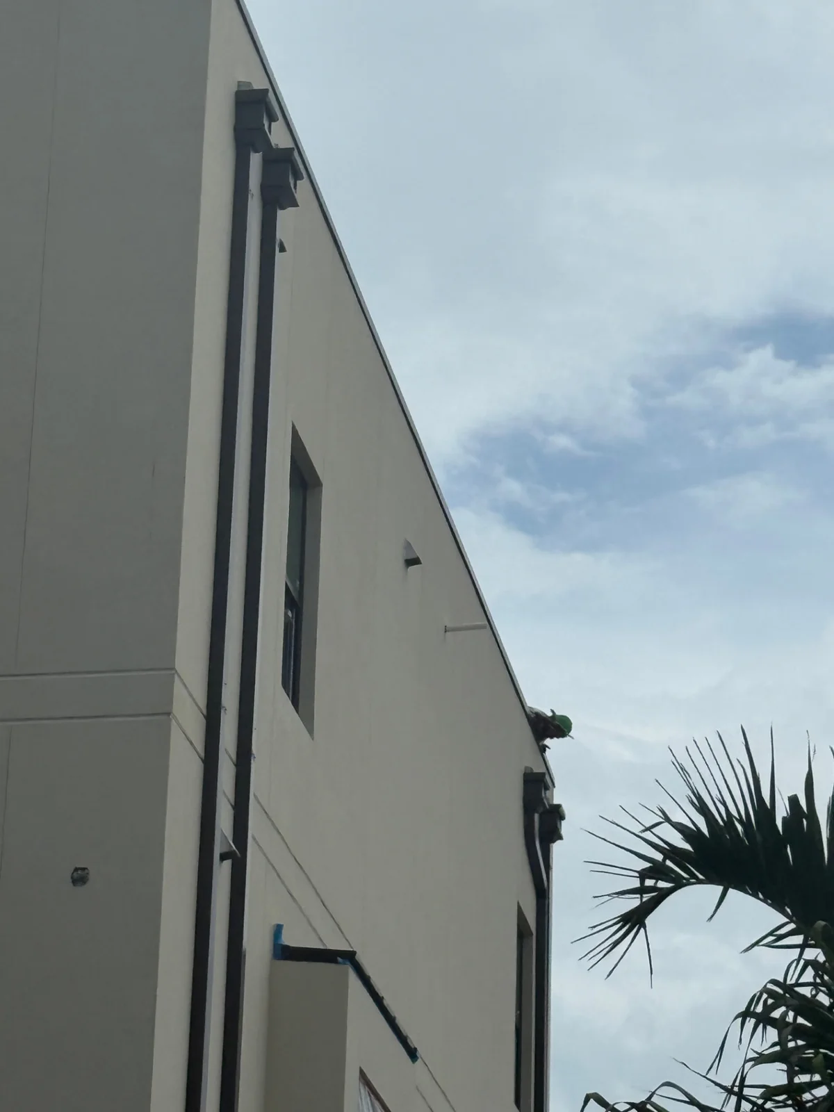Commercial downspout and gutter detail on a modern building exterior